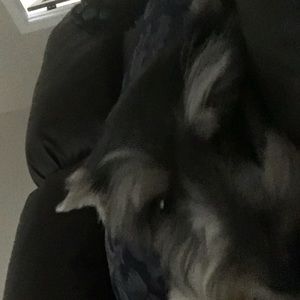 Meet your Posher, Karen